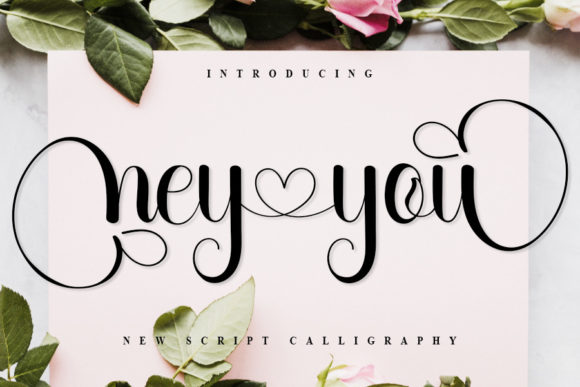 Hey You: The Elegant Script Font That Makes Your Brand Look Professional