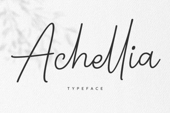 How Achellia Became Our Secret Weapon for a Beautiful Brand