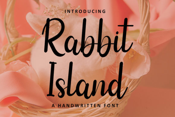 Rabbit Island: A Handwritten Font for Elegant Branding