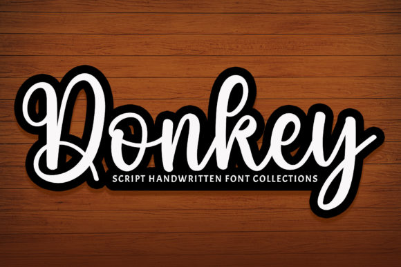 Using the Donkey Typeface in a Real Branding Project